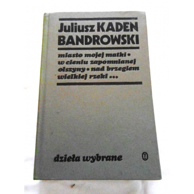 Kaden-Bandrowski J.  MIASTO MOJEJ MATKI* W CIENU ZAPOMNIANEJ...